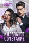 Обложка книги "Идеальное сочетание"