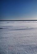 Обложка книги "Перед тем, как утро вечера - мудренее"