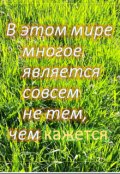 Обложка книги "В этом мире многое является совсем не тем, чем кажется."