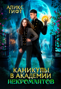Обложка книги "Каникулы в академии некромантов"