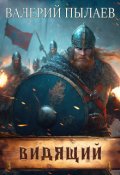 Обложка книги "Видящий"
