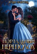 Обложка книги "Портальный переполох"