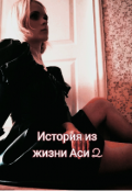 Обложка книги "История из жизни Аси 2 "
