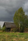 Обложка книги "Случай в деревне"