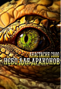 Обложка книги "Небо для Драконов"