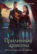 Обложка книги "Приличные драконы под ногами не валяются"