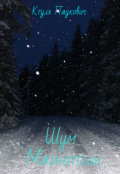 Обложка книги "Шум Магнитолы"