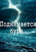 Обложка книги "Поднимается буря"