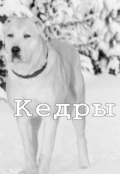 Обложка книги "Кедры"