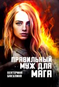 Обложка книги "Правильный муж для мага"