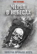 Обложка книги "Череп в небесах"