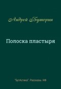 Обложка книги "Полоска пластыря"