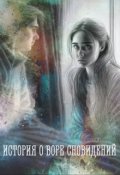 Обложка книги "История о воре сновидений"