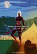 Обложка книги "Темная эльфийка. Книга 20. Последний путь"