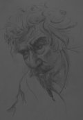 Обложка книги "Шаман. Книга вторая"