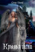 Обложка книги "Крылья тени"