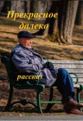 Обложка книги "Прекрасное далеко"