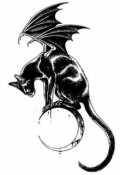 Обложка книги "Чёрный кот 2"