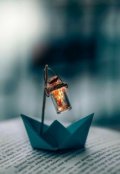 Обложка книги "Иначе и быть не могло"