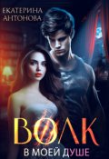 Обложка книги "Волк в моей душе"