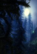 Обложка книги "Колодец желаний"