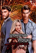 Обложка книги "Игрушка Грозного 2. Возвращенный"