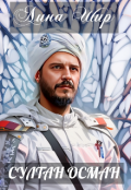 Обложка книги "Султан Осман"