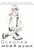 Обложка книги "Осколки моей души"