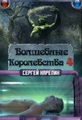 Обложка книги "Волшебные королевства 4"
