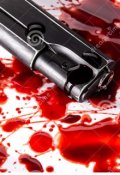 Обложка книги "Судьба киллера"