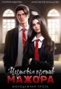 Обложка книги "Чертовка против Мажора"