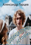 Обложка книги "Провинциальная история"
