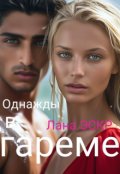 Обложка книги "Однажды в гареме."