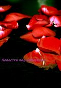 Обложка книги "Лепестки под каблуками"