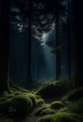Обложка книги "Таинственный незнакомец"
