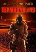 Обложка книги "Терминал #13"