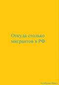 Обложка книги "Откуда столько мигрантов в Рф"
