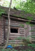 Обложка книги "Дом с запахом смерти"
