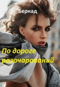 Обложка книги "По дороге разочарований"