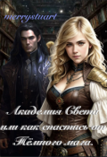 Обложка книги "Академия Света или как спастись от Тёмного мага."