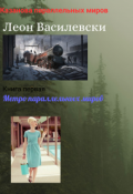 Обложка книги "Метро параллельных миров кн 1 из Казанова параллельных миров"