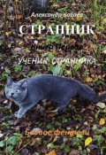 Обложка книги "Странник  Книга первая Ученик Странника"