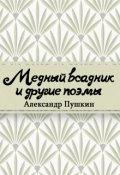 Обложка книги "Медный всадник"