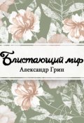 Обложка книги "Блистающий мир"