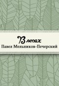 Обложка книги "В лесах"