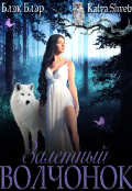 Обложка книги "Залётный волчонок "