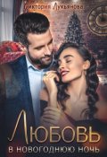 Обложка книги "Любовь в новогоднюю ночь"