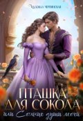 Обложка книги "Пташка для Сокола, или Солнце души моей"