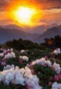 Обложка книги "Что там за закатом?"