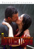 Обложка книги "Притормози у счастья"